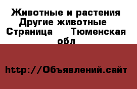 Животные и растения Другие животные - Страница 3 . Тюменская обл.